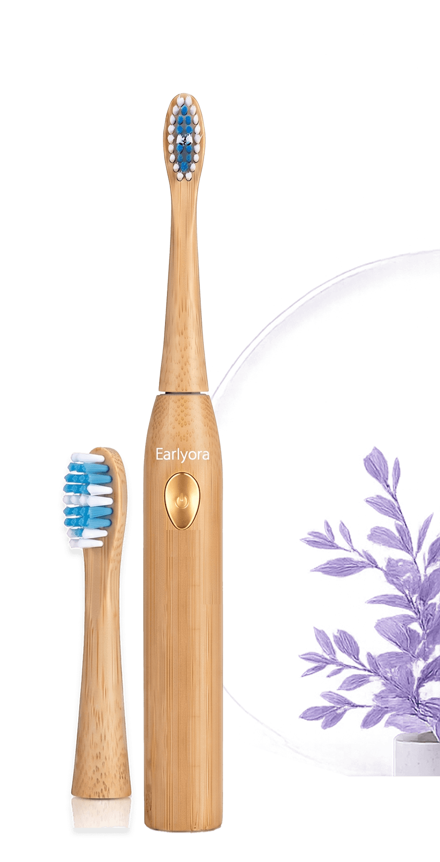 EarlyOra Brush