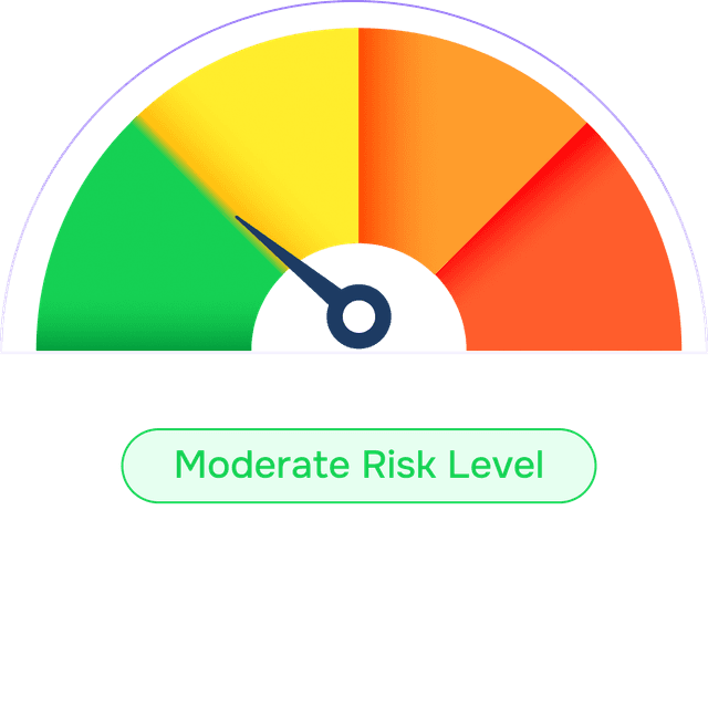 Risk level meter