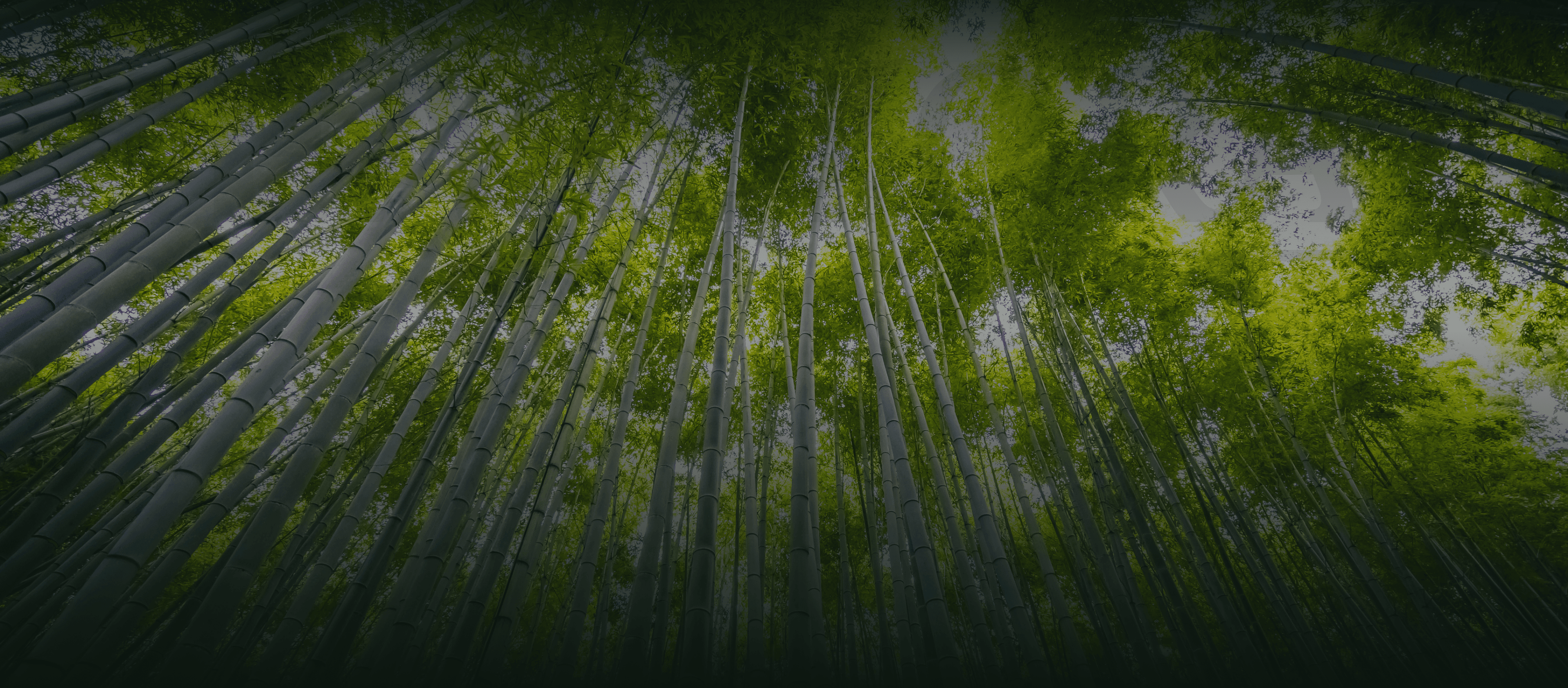 Innovation That Respects the Planet